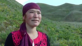 Каратегинден кат, Жаныл Жусупжандын док. тасмасы