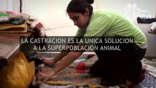 OPERATIVO CASTRACION - JUNIO 2011