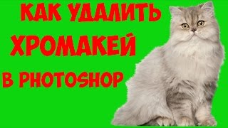 Как удалить хромакей в Photoshop CS6