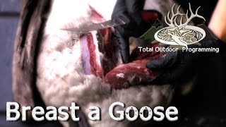 How to Breast a Goose or Duck - Skinning & Cleaning - Waterfowl Hunting Tips