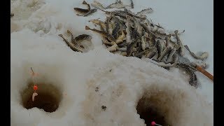 Зимняя рыбалка на Белом море. Ловим навагу.Часть 1.