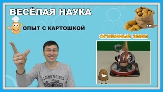 Весёлая наука #19 - Фараонова змея и Опыт с картошкой