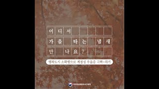 행복도시 소확행 영상 - 가을타는 냄새 안 나요?