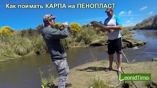 Как поймать КАРПА на ПЕНОПЛАСТ ? Leonid Timo