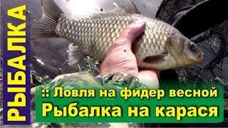 Рыбалка на карася. Ловля на фидер (пикер) весной. Открылся по фидеру.