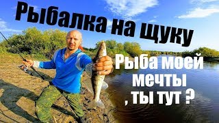 В Сибирь за хищником Щука в сентябре Рыбалка на спиннинг Рыбалка 2019 Рыбалка на щуку Рыбалка