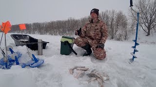 Жерлицы. Мормышка. Жирненькая Мадам на безмотылку. Рыбалка 2018.