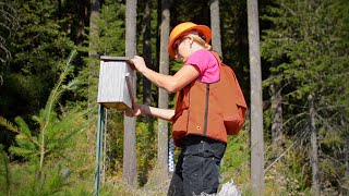 Find Your Path: Wildlife Biologist