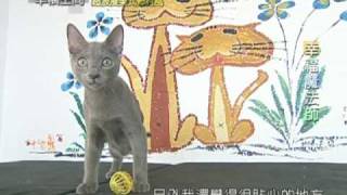 超浪漫美式鄉村風《貓屋》【布雜墨藝室內裝修-徐曜貞】by 幸福空間