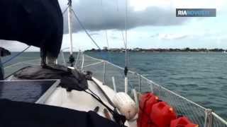 Sailing Around the World With Three Cats on the Boat