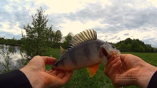 Со спиннингом по малой речке.Рыбалка на красивой речке.