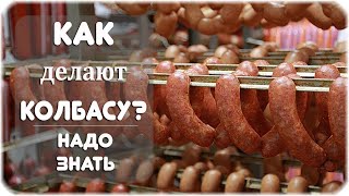 Как и из чего делают колбасу?