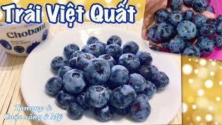 ĂN TRÁI VIỆT QUẤT TRỘN KIỂU MỸ - Cuộc sống ở Mỹ (Blueberry)