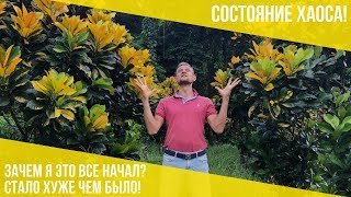Состояние Хаоса. Почему стало хуже чем было?