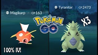 Pokémon GO | Wild Tyranitar 2400 CP + 100% IV Magikarp, Dusclops & More! Rare Hunting Ep. 65