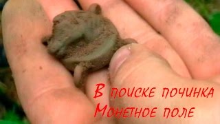 Приборный поиск. В поиске починка.