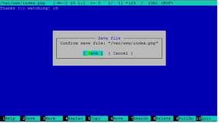 Install Midnight Commander to Ubuntu Server 12.04