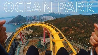 OCEAN PARK HONG KONG, аттракционы, пингвины, канатная дорога
