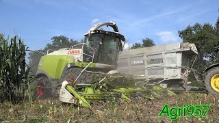 SUPER SOUND: NEW CLAAS JAGUAR 980 [2016 model] & ORBIS 750 - SILAGE in Italy | JCB 8310, JD 7,8R
