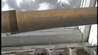 Выращивание помидорной рассады. часть1