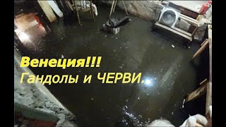Бизнес.  Разведение червей в подвале . Чеченский выползок -  Итог.