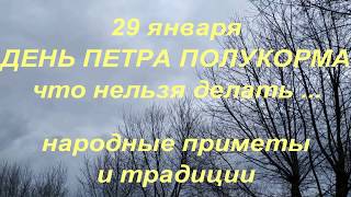 29 января ДЕНЬ ПЕТРА ПОЛУКОРМА . ЧТО НЕЛЬЗЯ ДЕЛАТЬ В ЭТОТ ДЕНЬ ... народные приметы и традиции