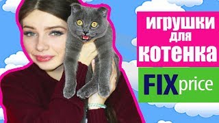 ИГРУШКИ ДЛЯ КОТЕНКА ИЗ FIX PRICE против ОБЫЧНЫХ | FIX PRICE ДЛЯ ЖИВОТНЫХ