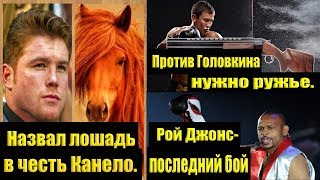 Против Головкина нужно ружье/Рой Джонс- последний бой в карьере/Назвал лошадь в честь Канело.