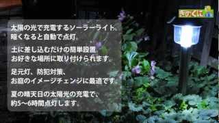 ガーデンソーラーライト WHITE　夜になれば自動で点灯！