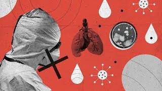 What is the coronavirus? Everything you need to know about symptoms, how to stay safe and what next