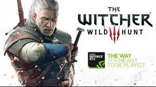 Witcher 3 Wild Hunt Game of the year Gameplay on GT 730 2GB