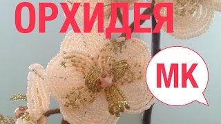 ОРХИДЕЯ ПЕРСИКОВАЯ из БИСЕРА. Tutorial: Beaded ORCHID. Часть 1/3. БИСЕРОПЛЕТЕНИЕ для НАЧИНАЮЩИХ
