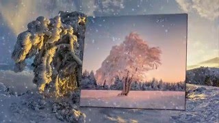 Зима - это не только холод, но и волшебная красота! Канал Ольги Федуловой