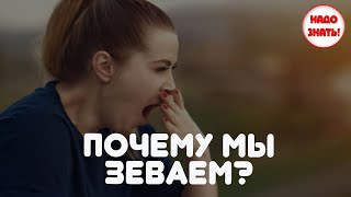 Почему мы зеваем?