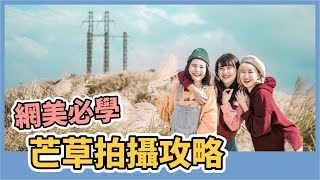 不是陽明山  秋天必去！仙氣芒草美拍秘境 silver grass｜cutiefive小5
