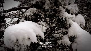 Алушта зимой. Вот такой Снег в Алуште (видео)