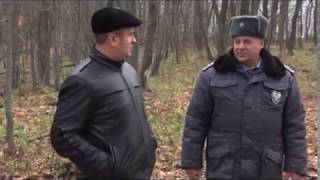 Борьба с АЧС в Белгородской области