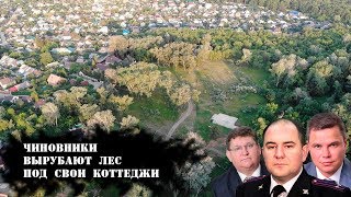 Чиновники рубят лес. Тинь-Зинь