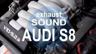 Звук выхлопа AUDI S8 5.2 FSI V10 Sound. Прошивка CHIPTUNING by DIESELOK.md