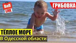 Украина | Грибовка, отдых в Одесской области, цены, жилье, море, пляж, съемка с дрона, отзыв, влог
