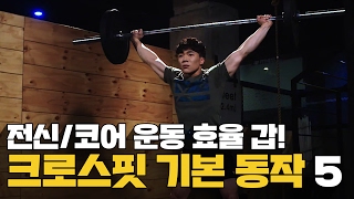 [헬스1분컷]전신/코어 운동 효율 갑! 크로스핏 기본 동작 5
