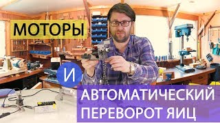 ШКОЛА ИНКУБАТОРОСТРОЕНИЯ №7 (моторы и автоматический переворот яиц для инкубатора своими руками)