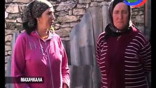 В Дагестане провели уникальную ветеринарную операцию