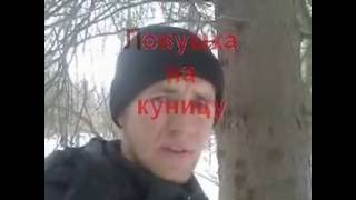 ловушка на куницу