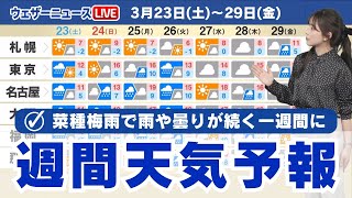 【週間天気情報】菜種梅雨で雨や曇りが続く　来週は雨が強まることも
