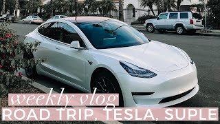 Road Trip, Finansowanie Tesli, Praca, Suplementy | Weekly Vlog