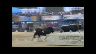 Composicion fotos video fiestas taurinas Puerto de Sagunto 060812