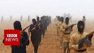 British IS fighters 'must be killed', minister says - BBC News