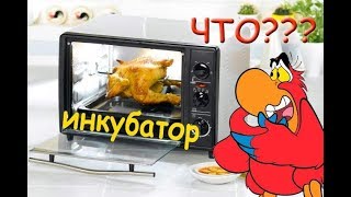 2 в 1, инкубатор из микроволновки, + брудер для попугаев. Часть 1