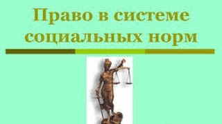 Право в системе социальных норм